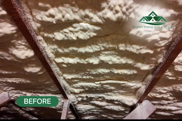 Before spray foam removal